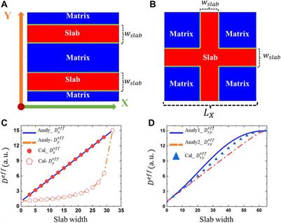 The Effective Diffusion Coefficient of Hydrogen in Tungsten: Effects of Microstructures From Phase-Field Simulations